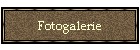 Fotogalerie