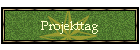 Projekttag
